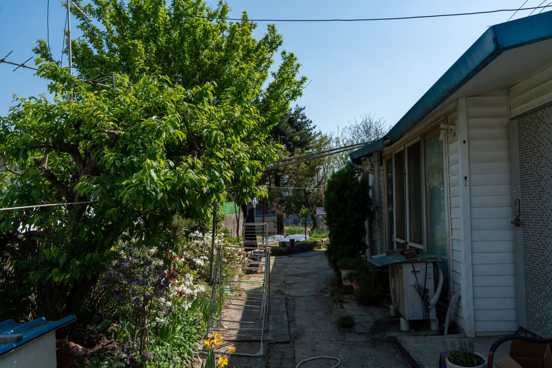 DSC00885