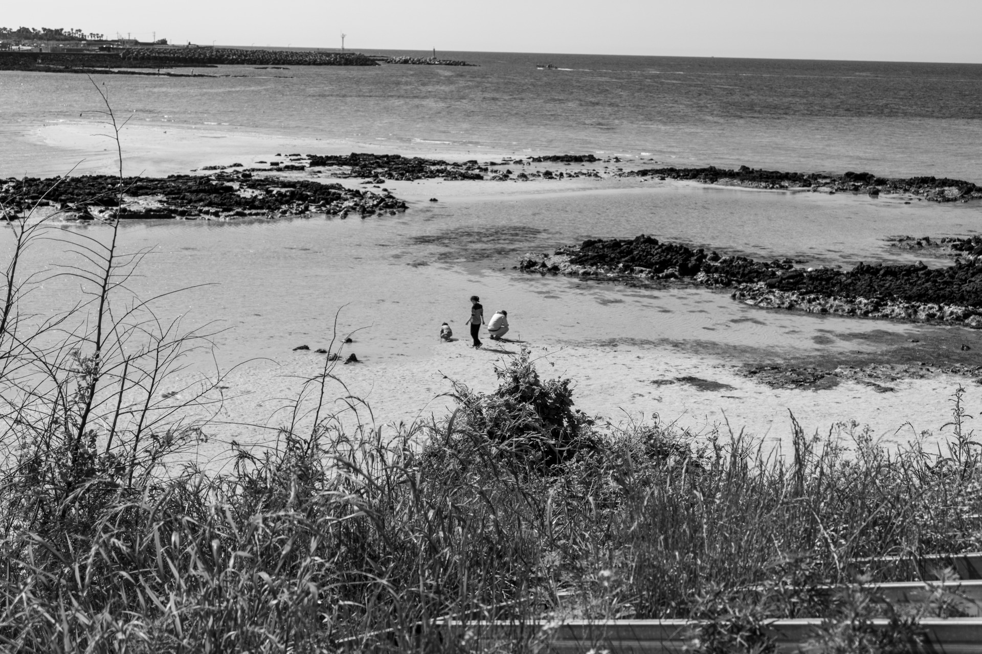 DSC01070
