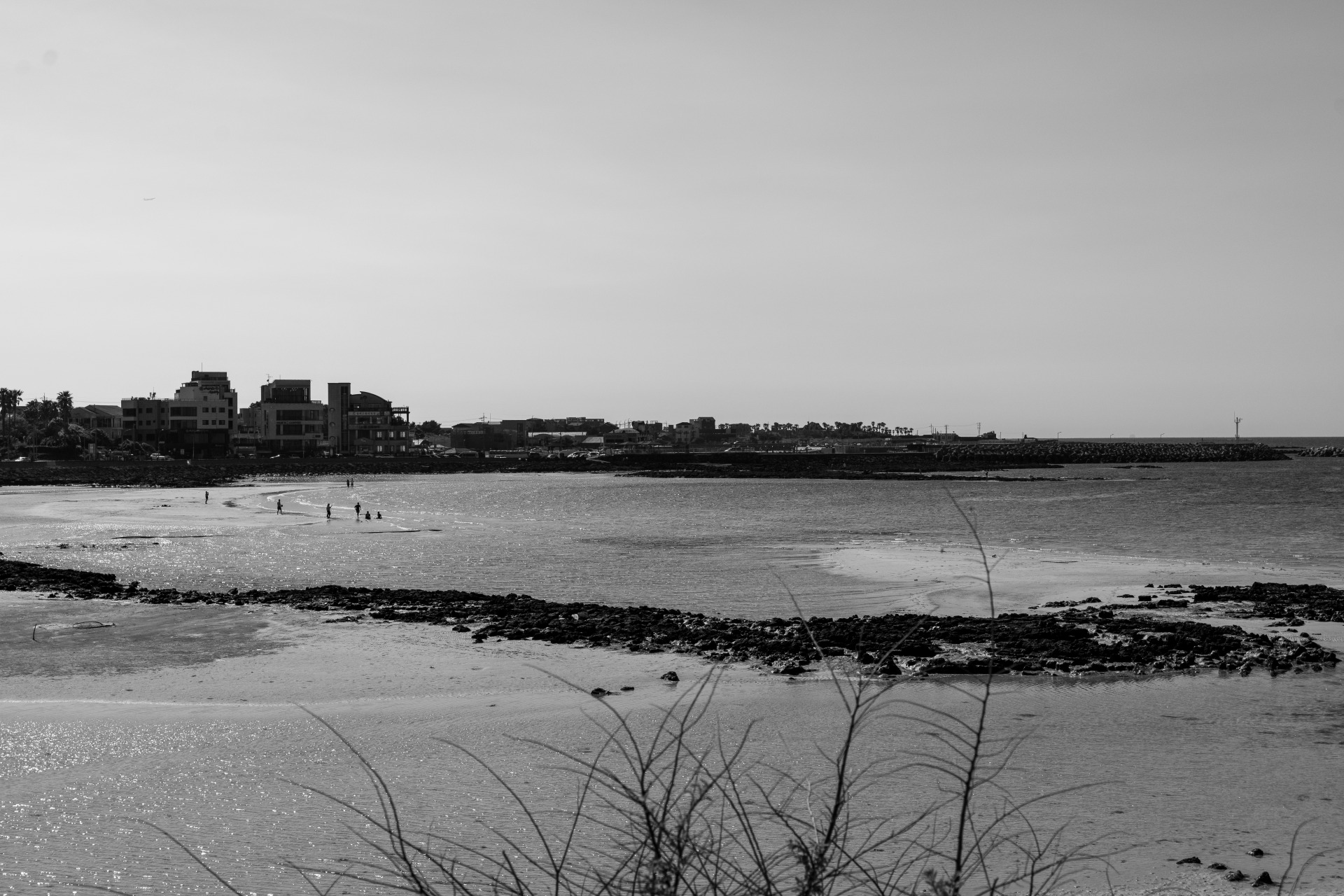 DSC01071