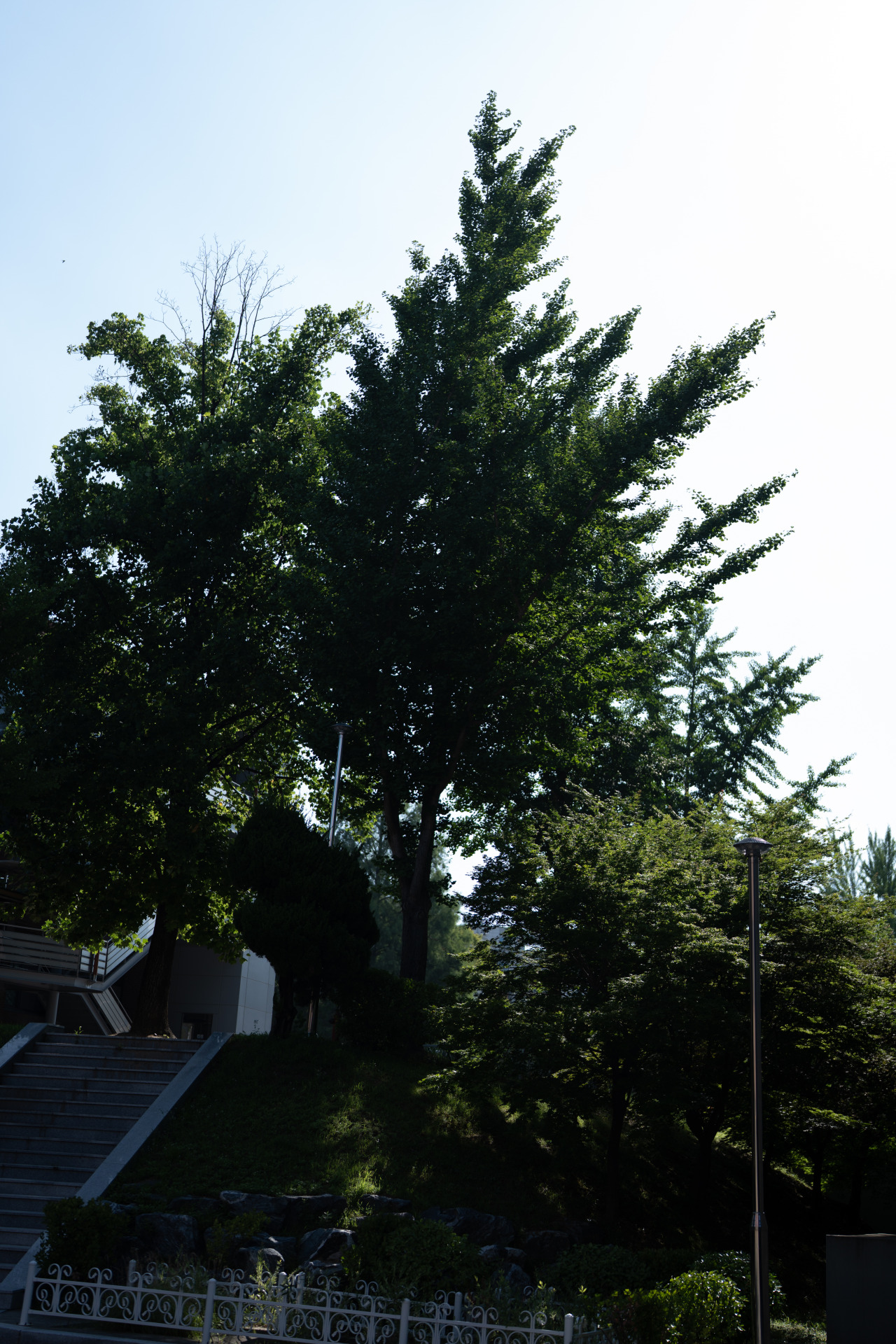 20260713-DSC02589-2