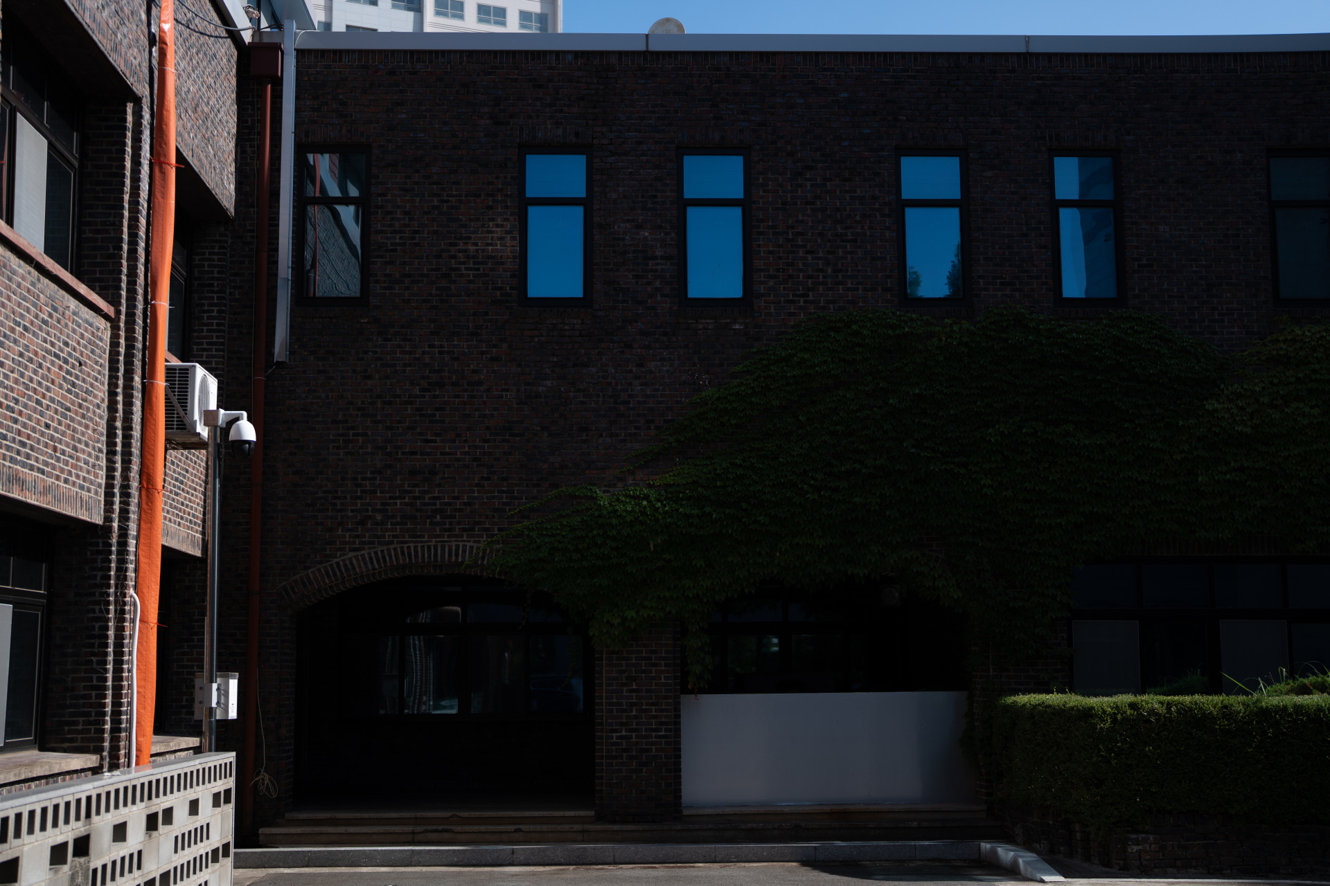 20260713-DSC02590-2